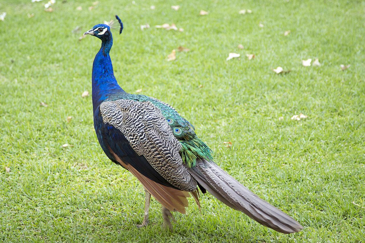 Bush Lovers Lodge Modimolle Buitenkant foto